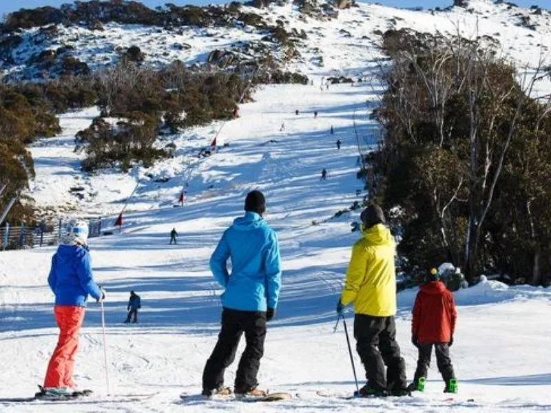 Thredbo và Perisher (New South Wales)