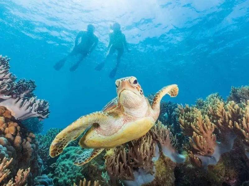 Great Barrier Reef (Queensland) Du lịch Úc tháng 7