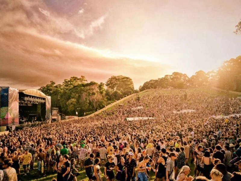 Splendour in the Grass