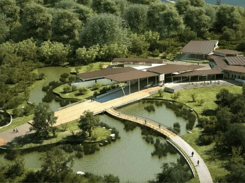 Sungei Buloh Wetland Reserve là khu bảo tồn ngập nước đầu tiên của Singapore