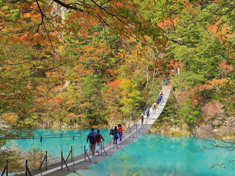 Shizuoka Nhật Bản