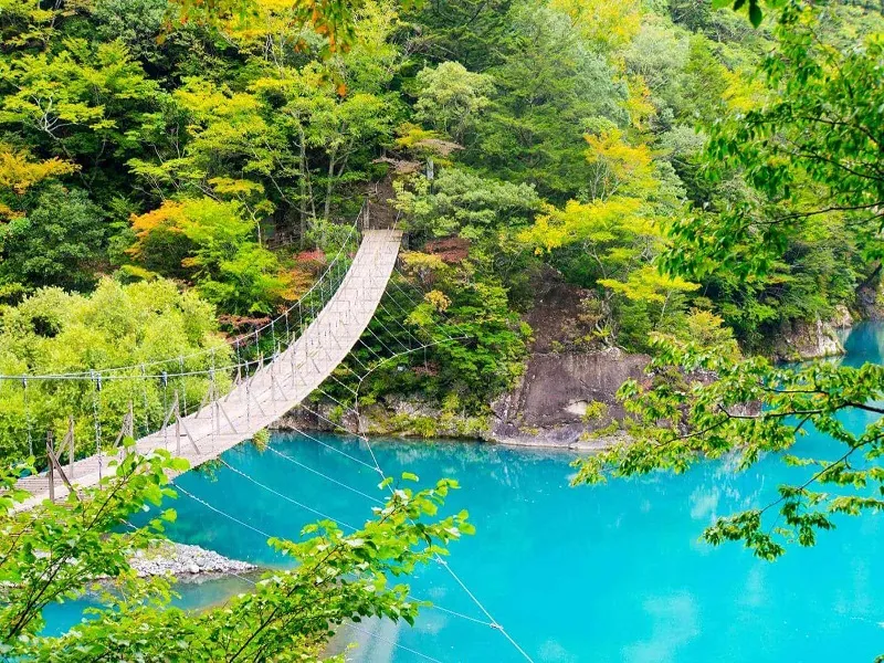 Thời tiết mùa hè Shizuoka