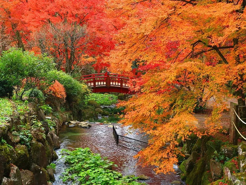 Mùa thu Shizuoka