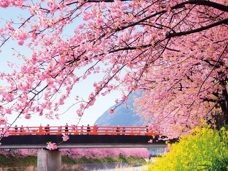 Shizuoka