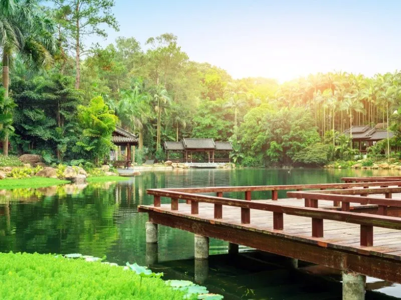 Vườn rừng nhiệt đới