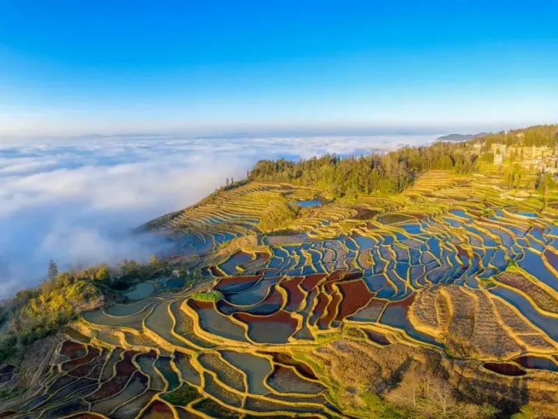 Ruộng bậc thang Nguyên Dương