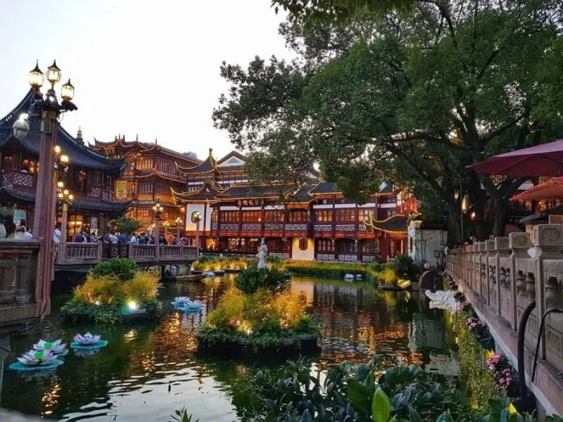 Hồ sen & tiểu cảnh hữu tình trong khuôn viên vườn