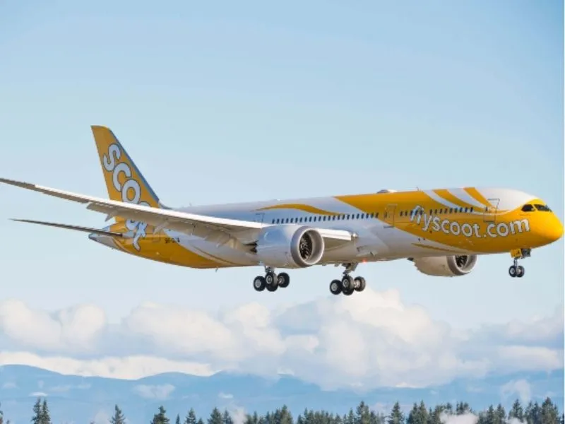 Những thông tin cần lưu ý khi kiểm tra vé máy bay Scoot