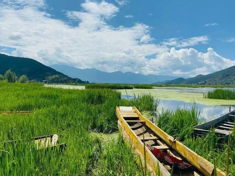Biển cỏ trải dài ở hồ Lugu