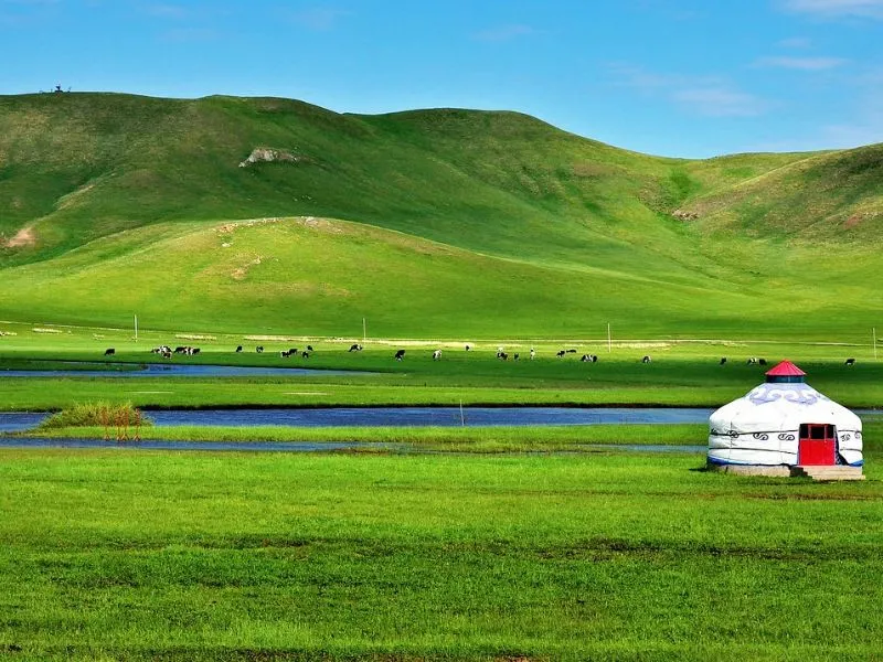 Thảm cỏ ranh rì tại Hulunbuir