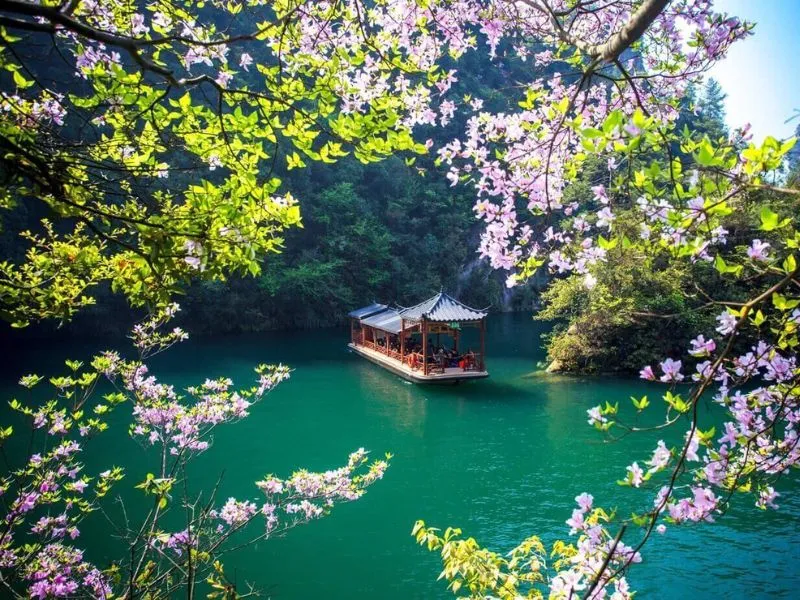 Hồ Bảo Phong vào mùa xuân