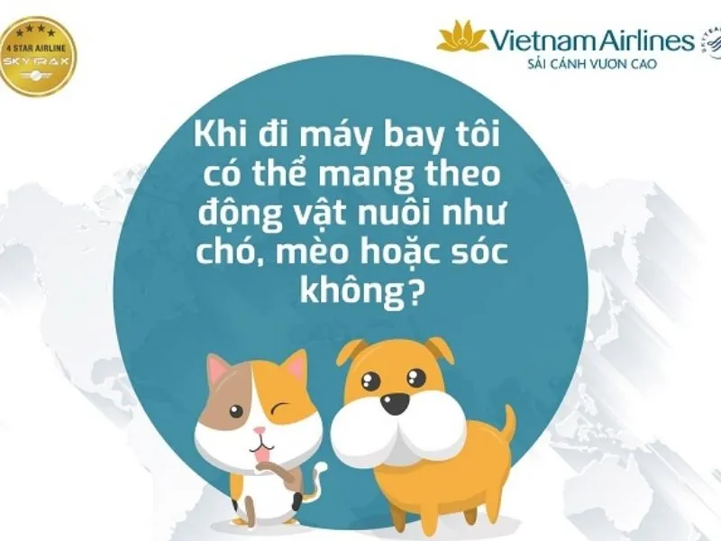 Những đồ không mang được lên máy bay Vietnam Airlines