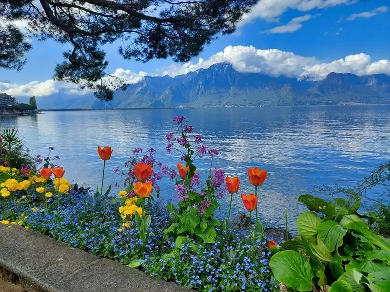 Hồ Geneva - Địa điểm du lịch Thuỵ Sĩ