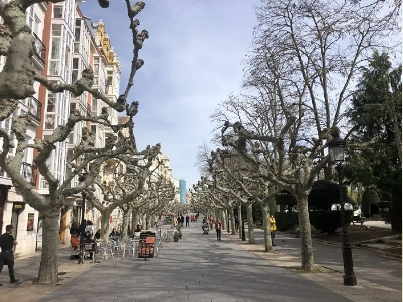 Burgos