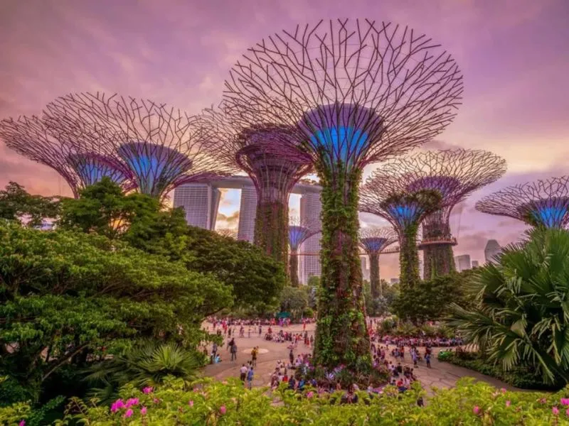 Gardens by the Bay