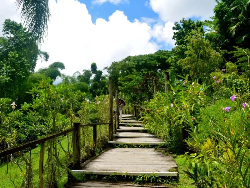 Garden of the Sleeping Giant