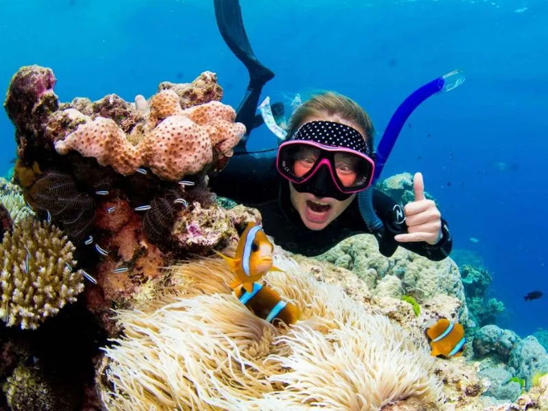 Lặn biển ngắm rạn san hô Great Barrier Reef