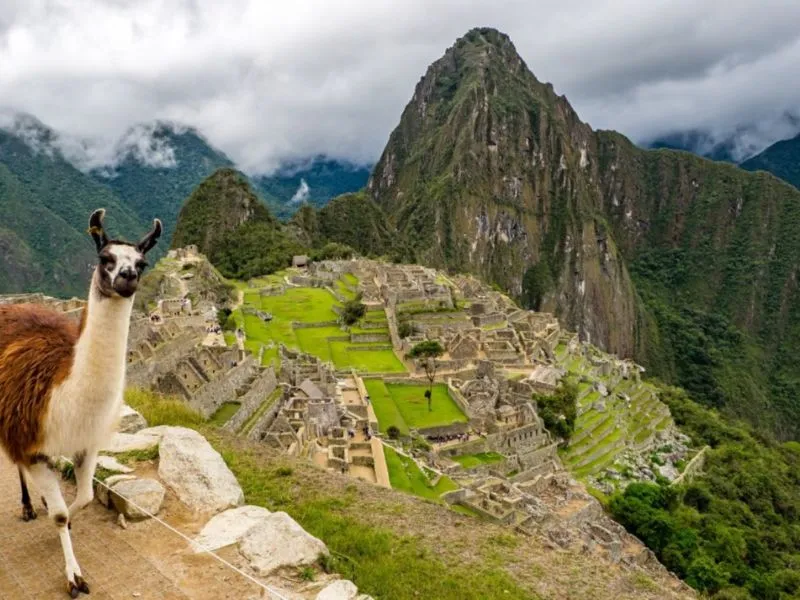 Tham quan Machu Picchu trong tour Peru