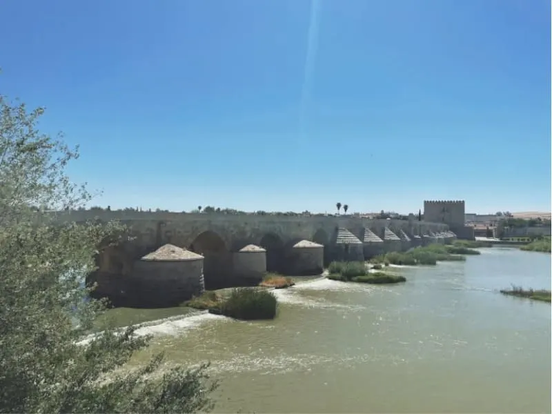 Mùa xuân tại thành phố Cordoba (ảnh sưu tầm)