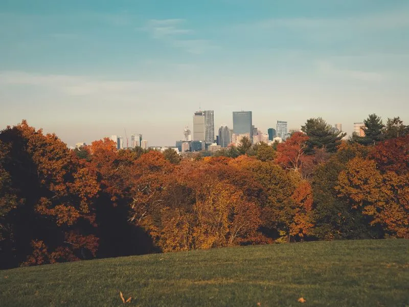 Thời gian lý tưởng để tới du lịch Frankfurt Đức