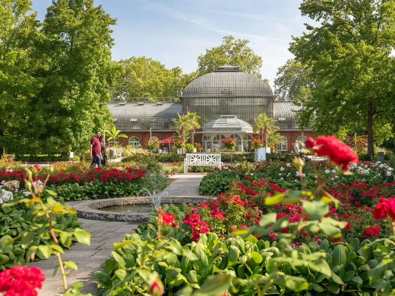 Palmengarten - Frankfurt Đức