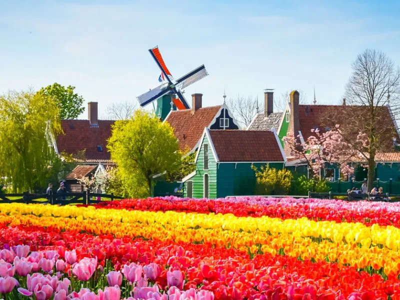 Làng cối xay gió Zaanse Schans