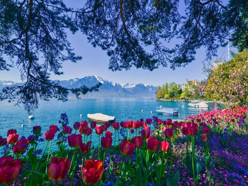 Geneva vào mùa xuân