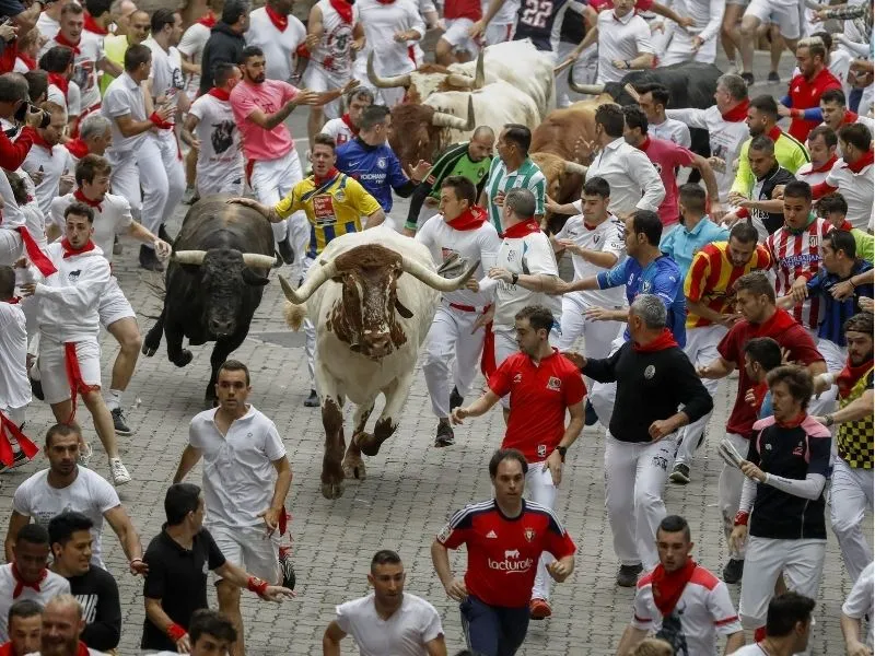 Lễ hội đấu bò Feria de San Isidro