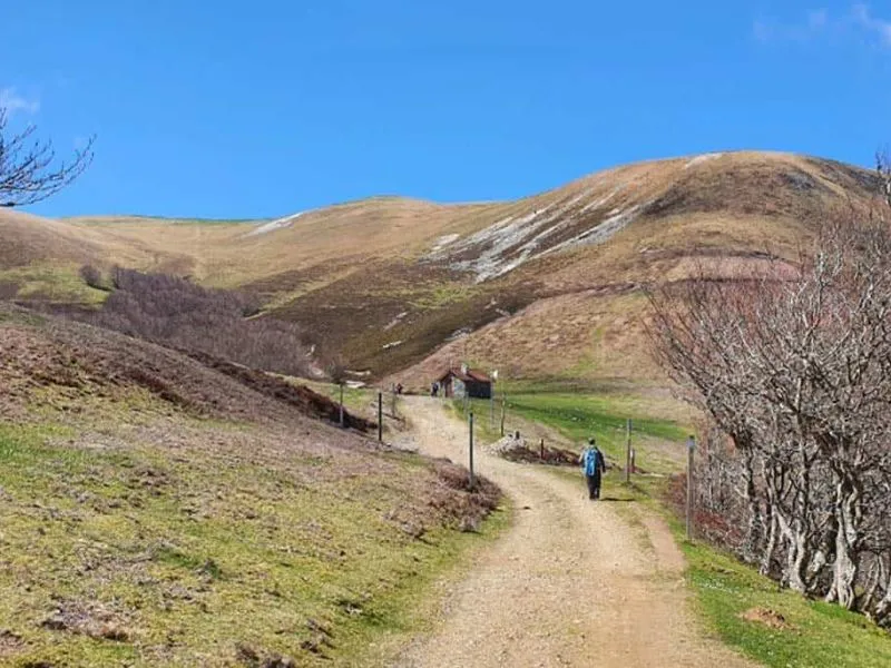 Camino de Santiago không có một điểm khởi đầu duy nhất