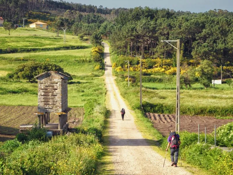 Camino Francés