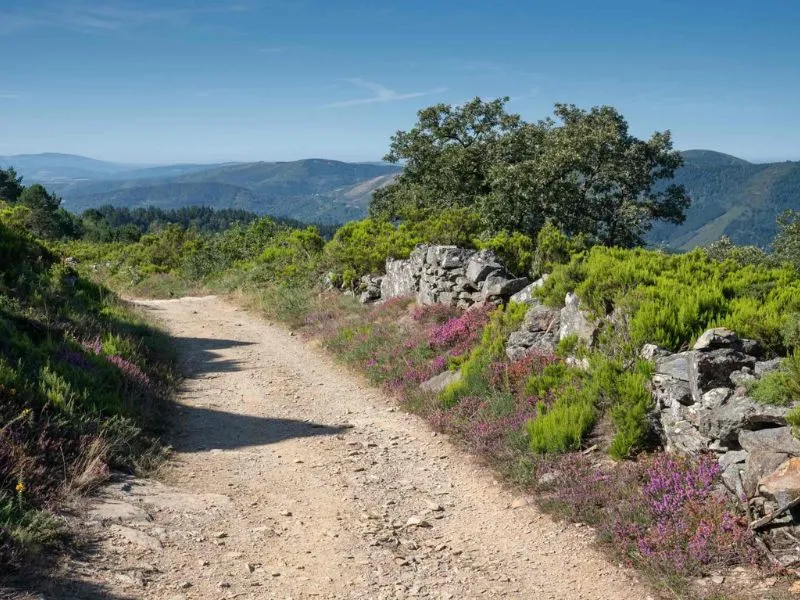 Camino Primitivo