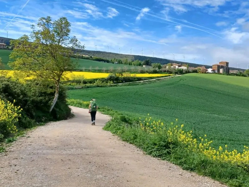 Nên khám phá Camino de Santiago vào mùa xuân và mùa thu