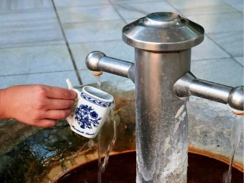 Uống nước tại vòi