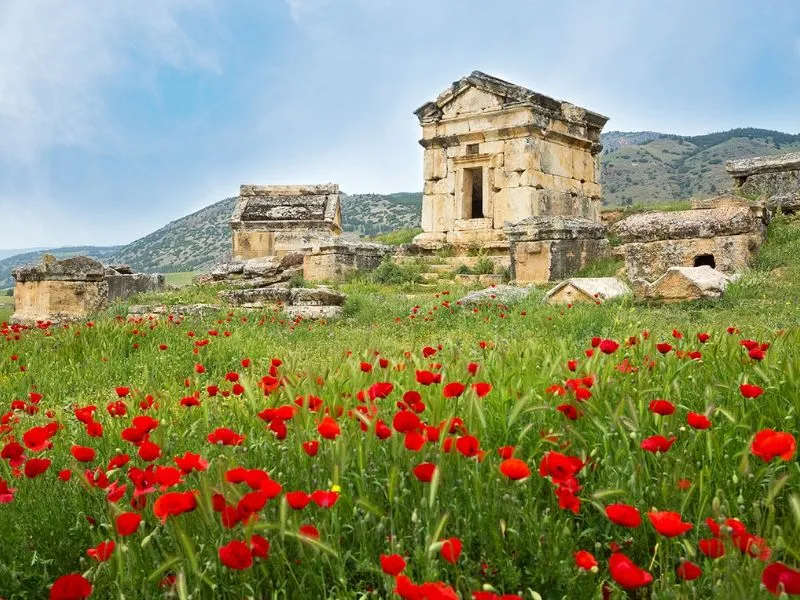 Nghĩa trang cổ (Necropolis)
