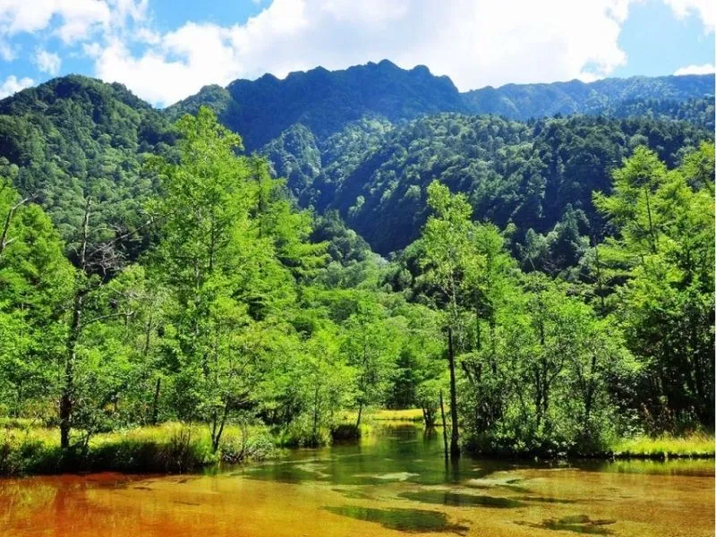 Đầm lầy Tashiro Kamikochi