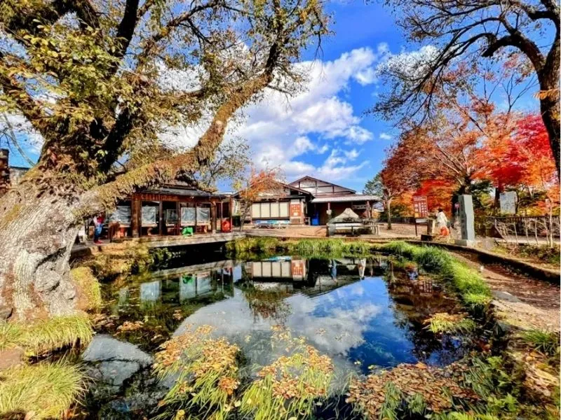 Vườn Bonsai của làng cổ Oshino Hakkai