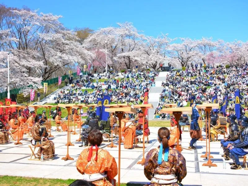 Tendo Sakura Matsuri