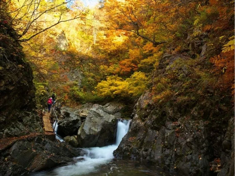 Thác Anmon Amori mùa thu