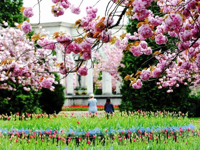 Nên tham quan Cardiff vào mùa xuân và hè