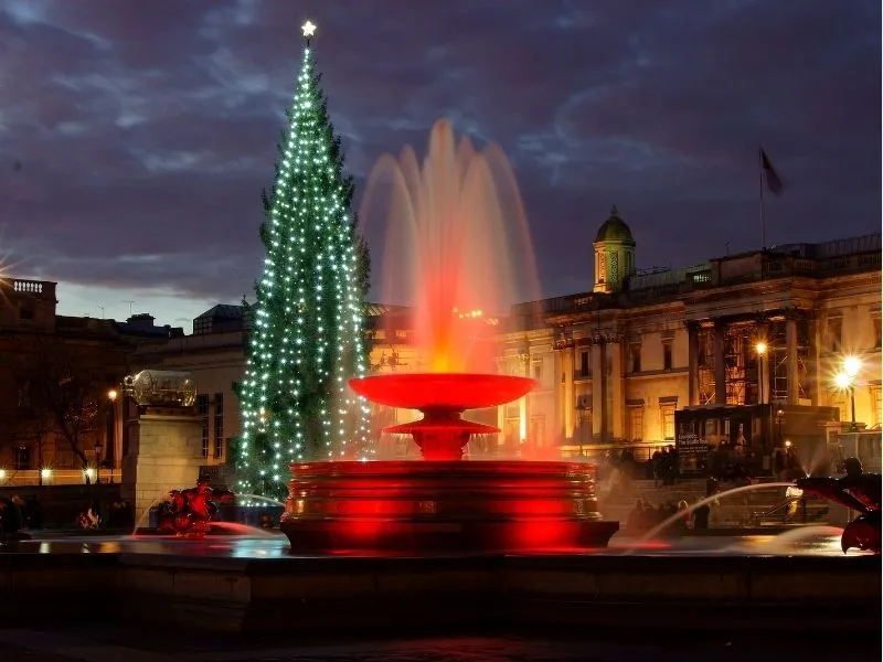 Cây Giáng Sinh Na Uy