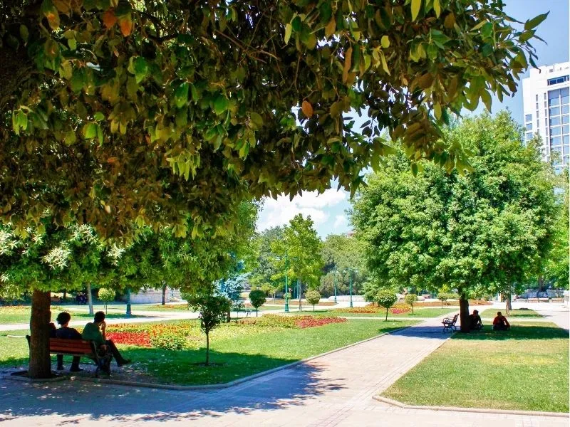 Dạo chơi ở công viên Taksim Gezi