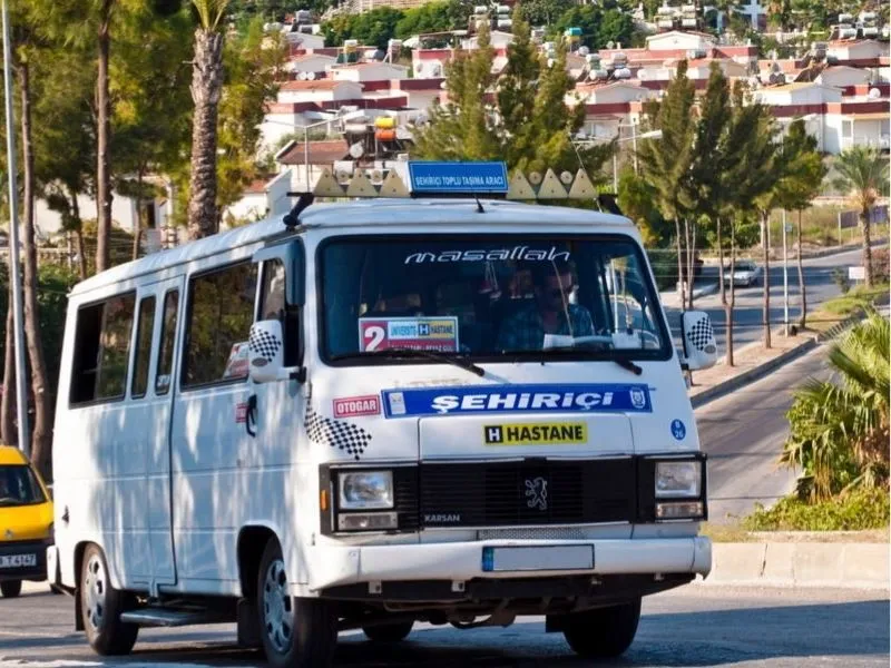 xe bus DOLMUS