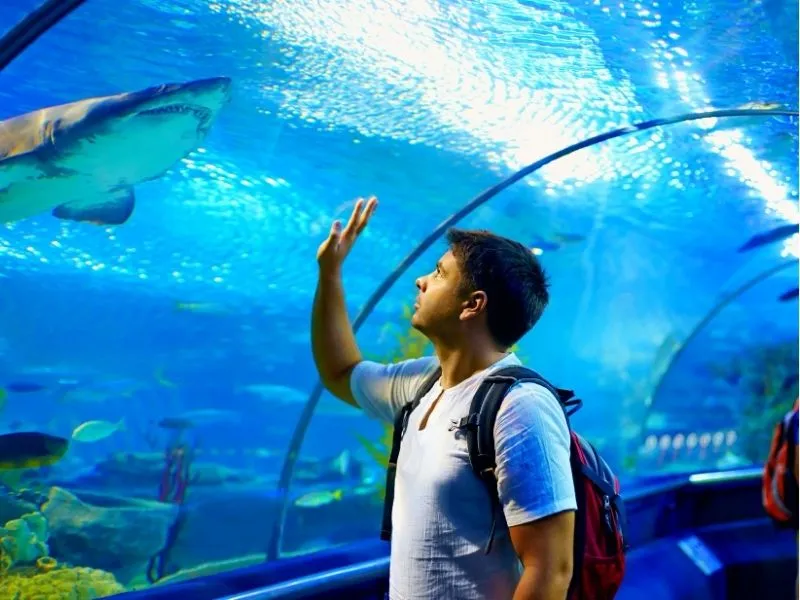 Hệ sinh thái tại Bristol Aquarium