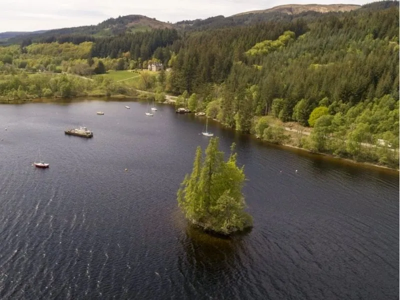 Cherry Island trên hồ