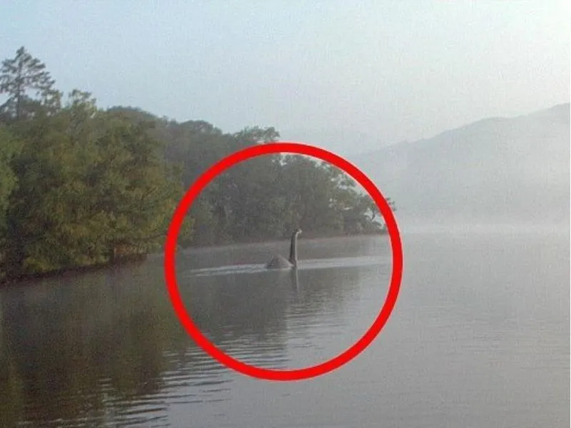 Một bức ảnh người dân chụp được quái vật hồ Loch Ness