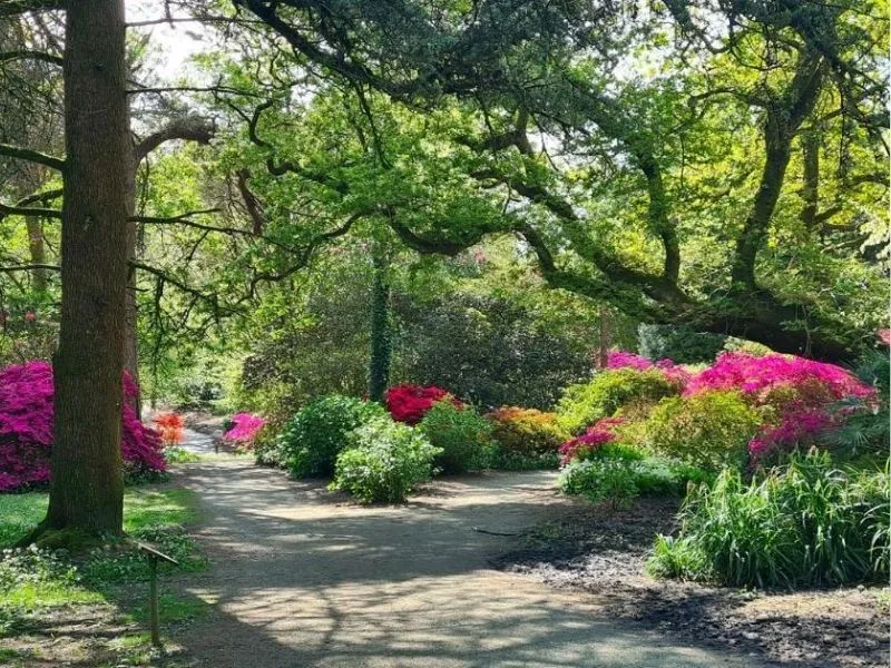Công viên Clyne Gardens Swansea Wales