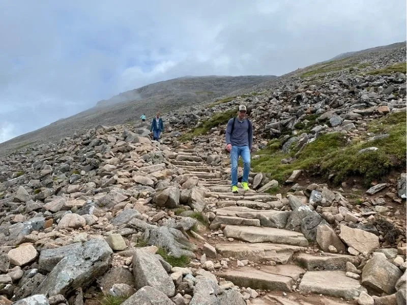 Tuyến đường Mountain Track