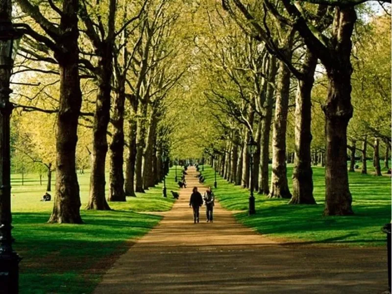 Hướng dẫn di chuyển tới công viên