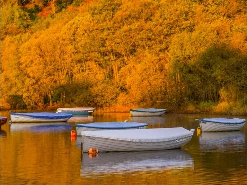 Thời điểm lý tưởng ghé thăm