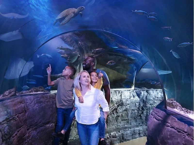 Khám phá thế giới dưới nước tại Sea Life